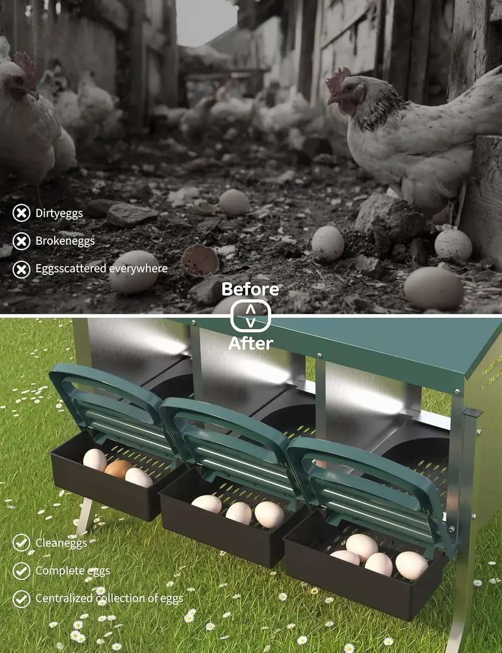 Pondoir poules acier galvanisé 3 compartiments avec plateau récupération