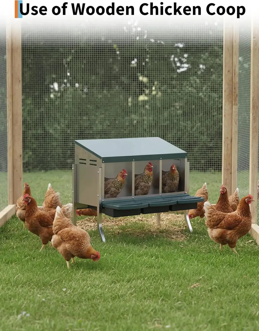 Pondoir poules acier galvanisé 3 compartiments avec plateau récupération