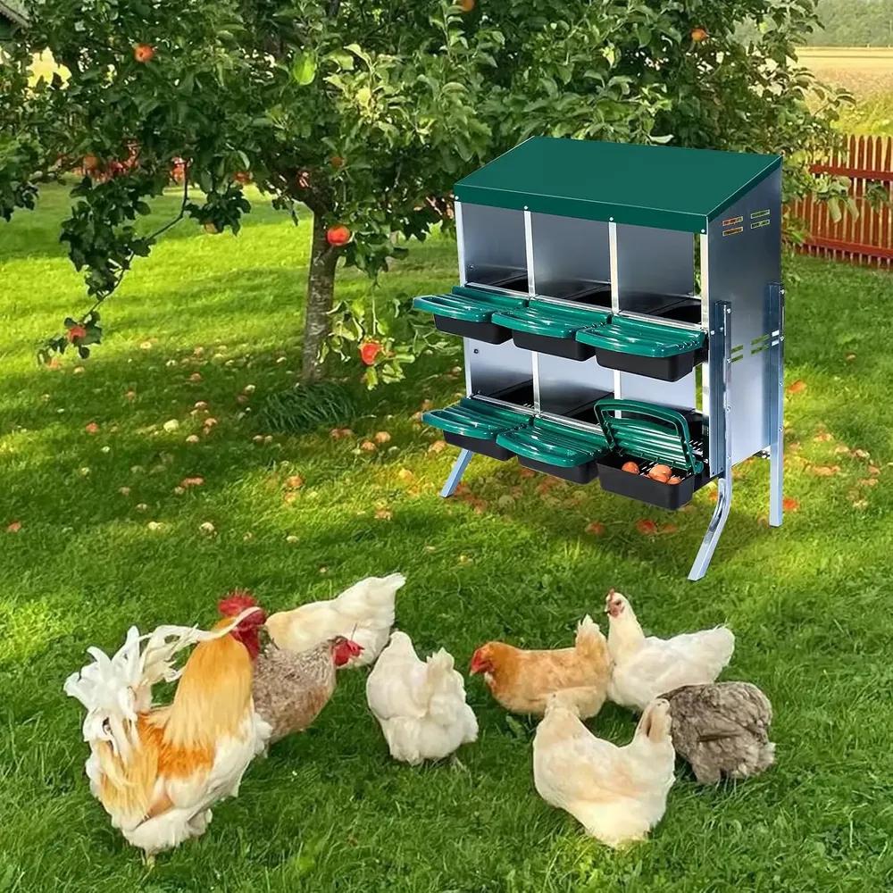 Pondoir poules acier galvanisé 6 trous avec plateau amovible