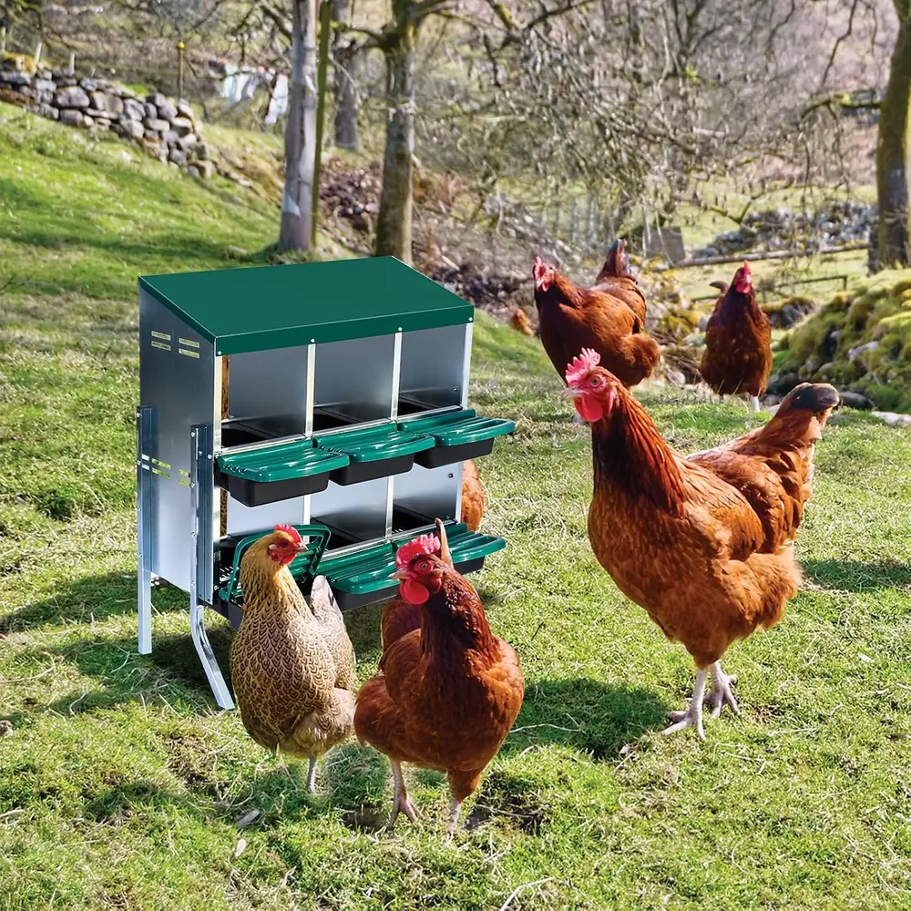 Pondoir poules acier galvanisé 6 trous avec plateau amovible
