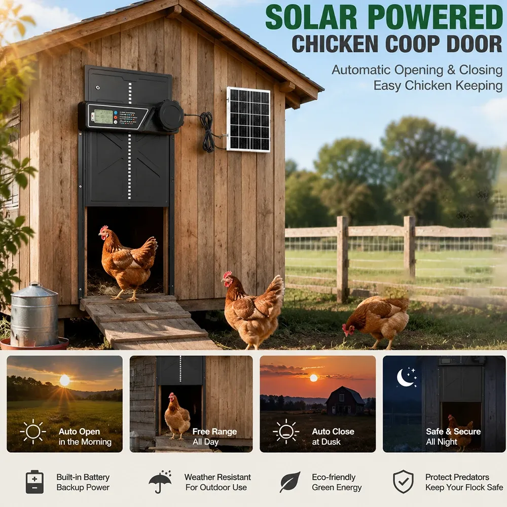 Porte automatique poulailler énergie solaire pour ferme