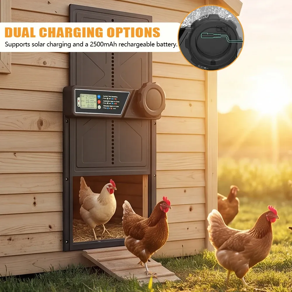 Porte automatique poulailler énergie solaire pour ferme