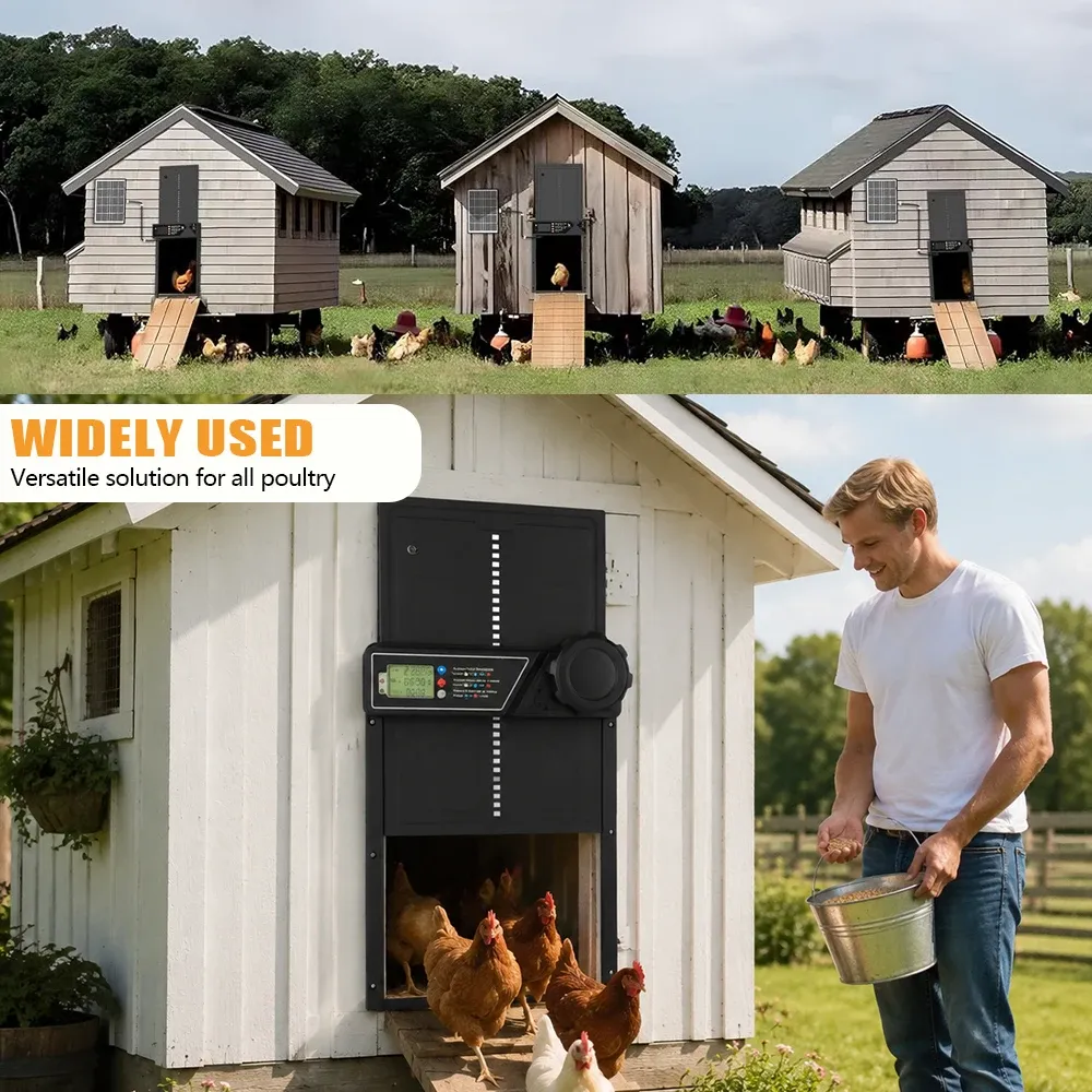 Porte automatique poulailler énergie solaire pour ferme