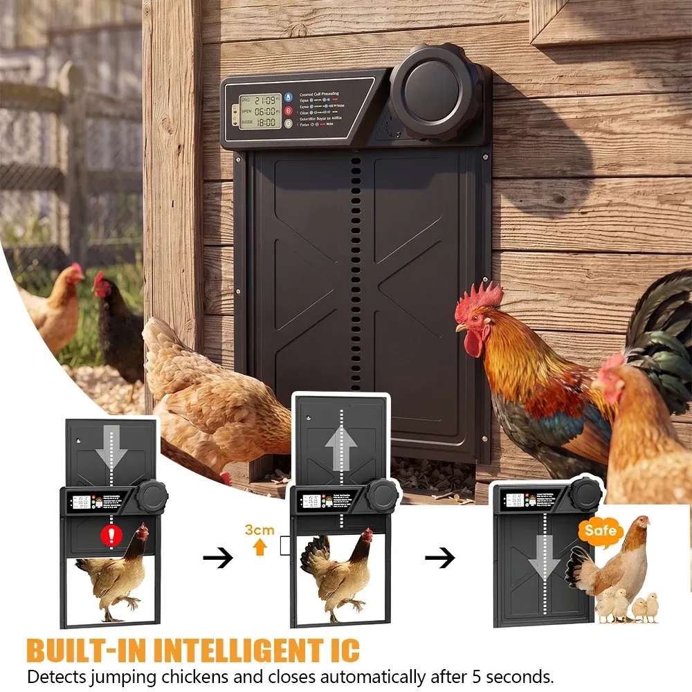 Porte automatique poulailler énergie solaire pour ferme