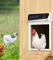 Porte automatique poulailler intelligente à détection de lumière solaire – 4