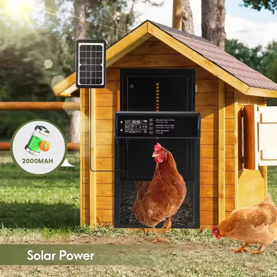 Porte automatique poulailler solaire avec capteur lumière et télécommande