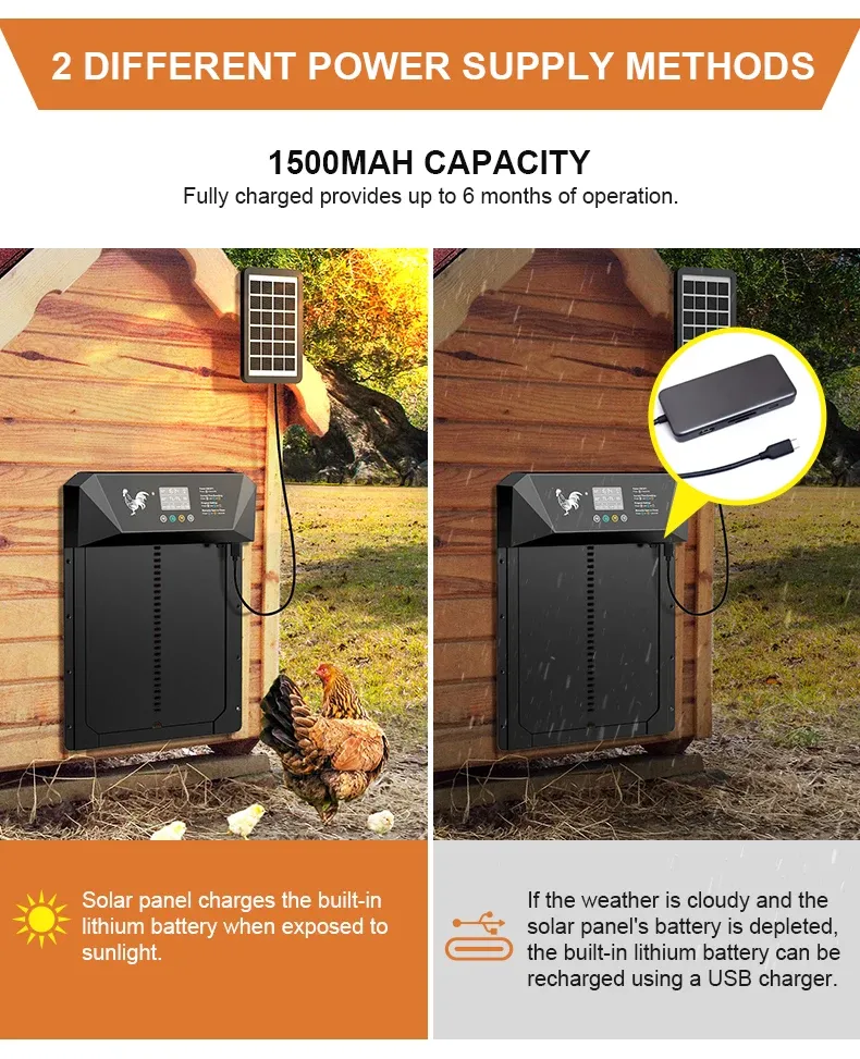 Porte automatique poulailler solaire avec écran LCD et télécommande