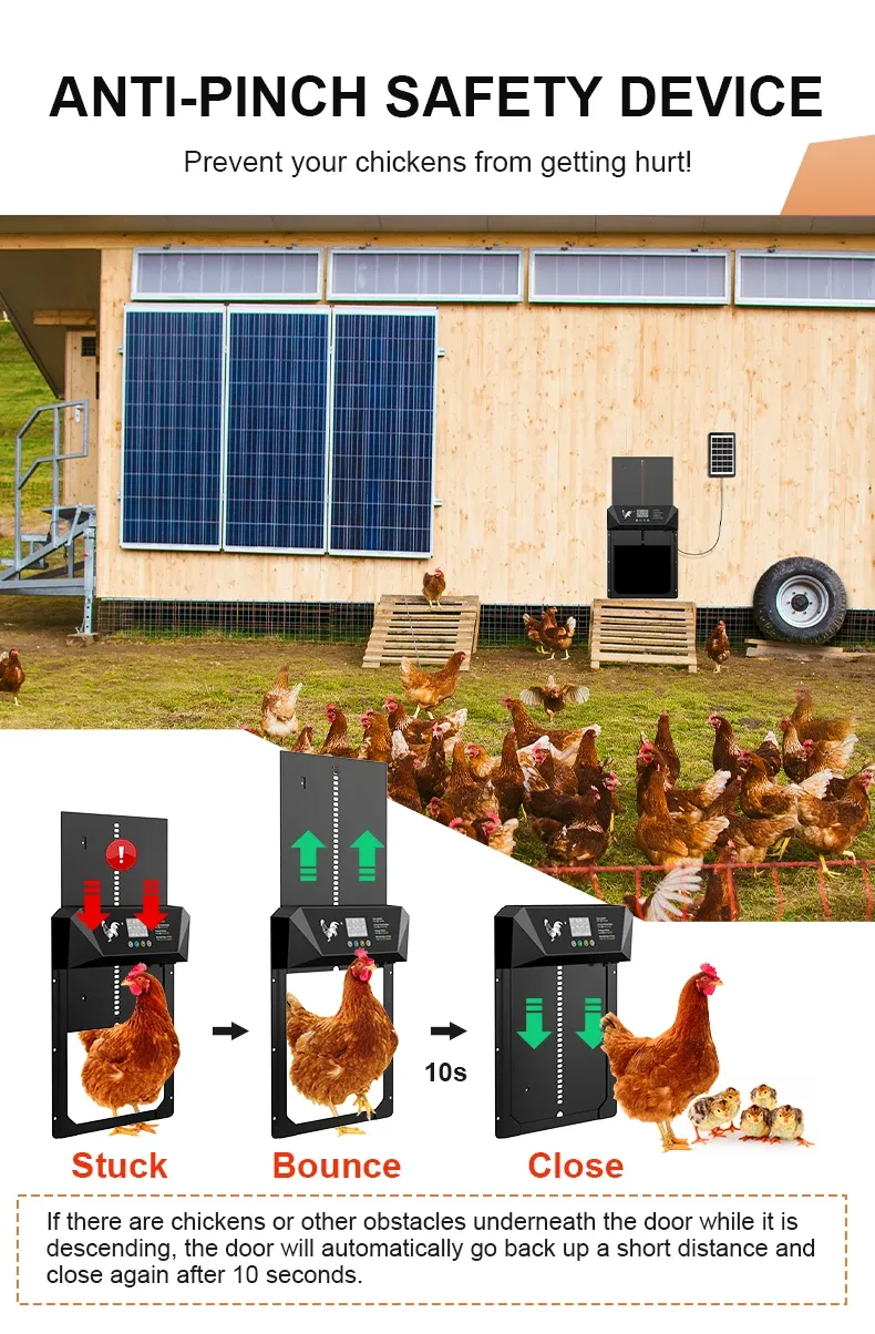 Porte automatique poulailler solaire avec écran LCD et télécommande
