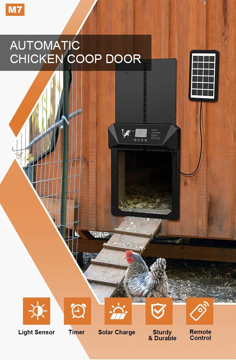 Porte automatique poulailler solaire avec écran LCD et télécommande