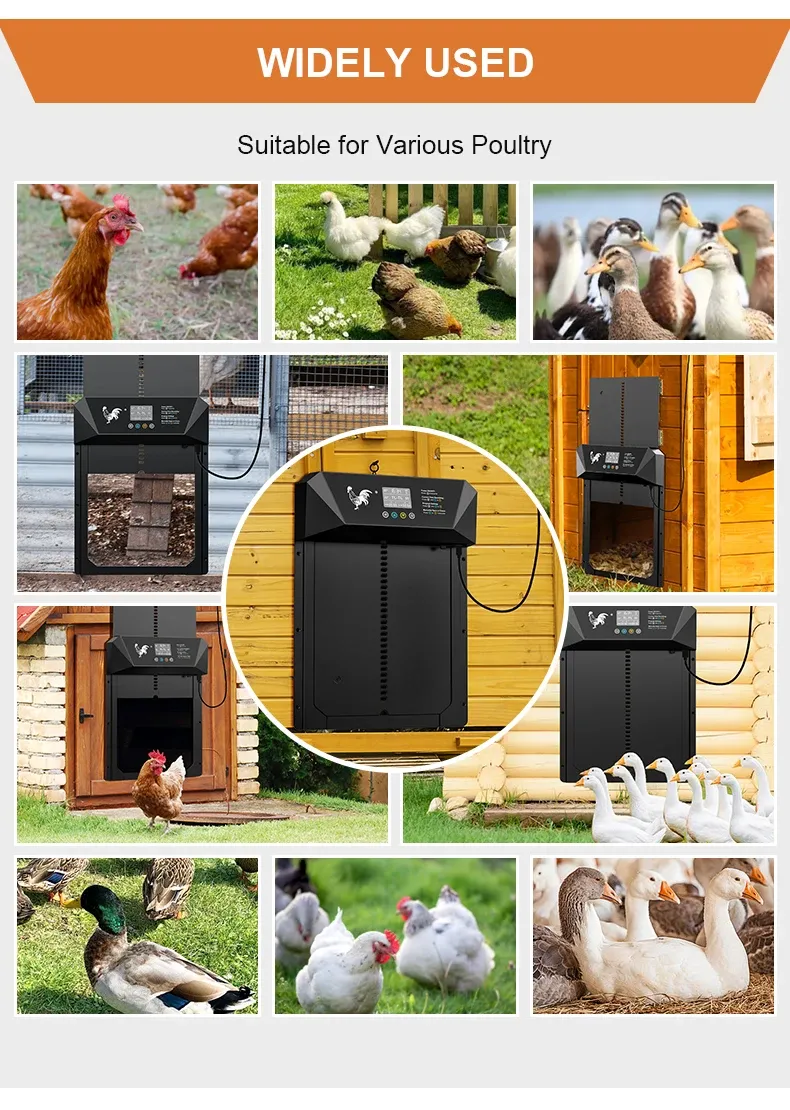Porte automatique poulailler solaire avec écran LCD et télécommande