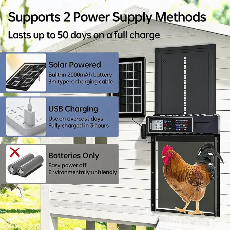 Porte automatique poulailler solaire et batterie étanche