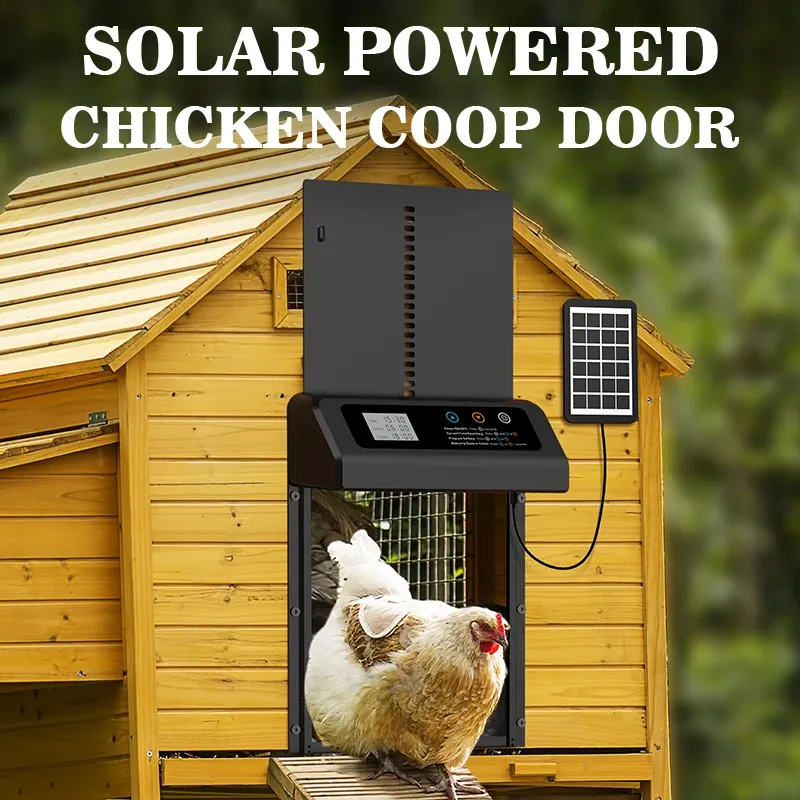 Porte automatique poulailler solaire fonction minuterie