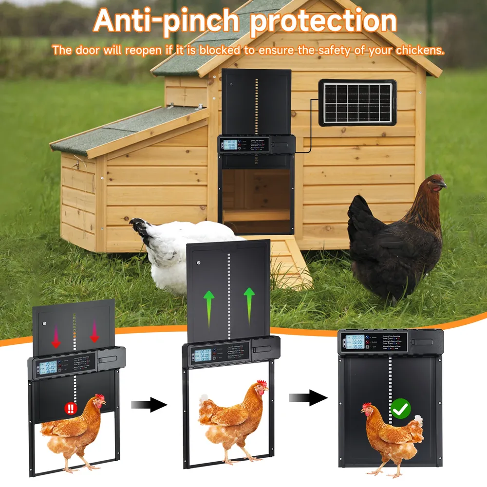 Porte de poulailler automatique solaire anti-pincement avec minuterie