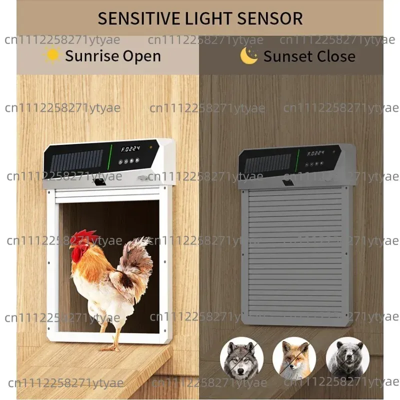 Porte de poulailler intelligente solaire à détection de lumière avec stockage d'énergie