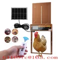 Porte de poulailler intelligente solaire avec minuterie et capteur lumineux – 1