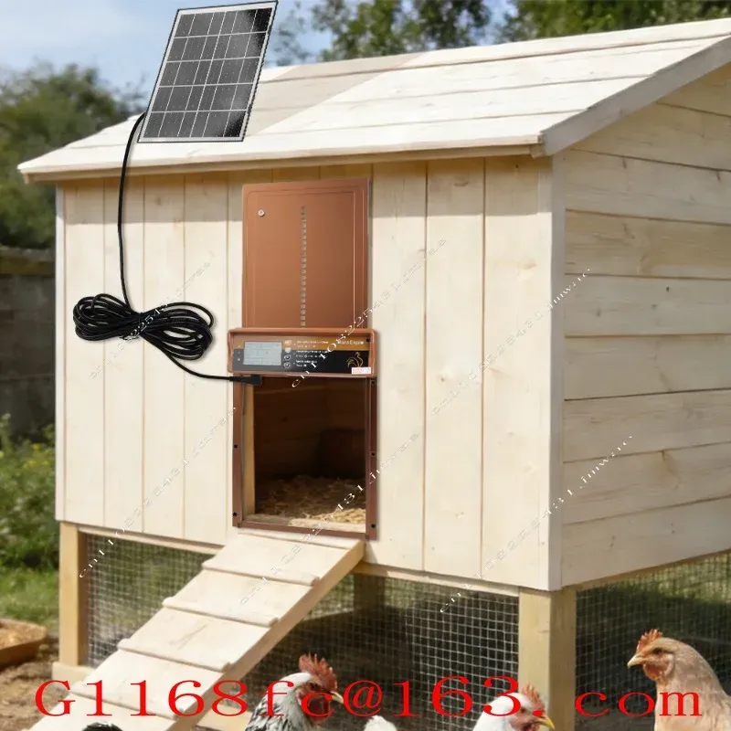 Porte de poulailler intelligente solaire avec minuterie et capteur lumineux