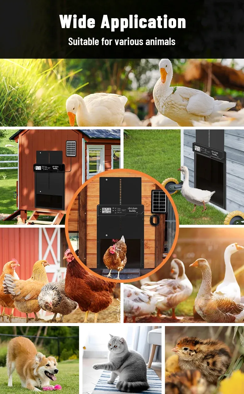 Porte de poulailler solaire intelligente anti-pincement avec minuterie