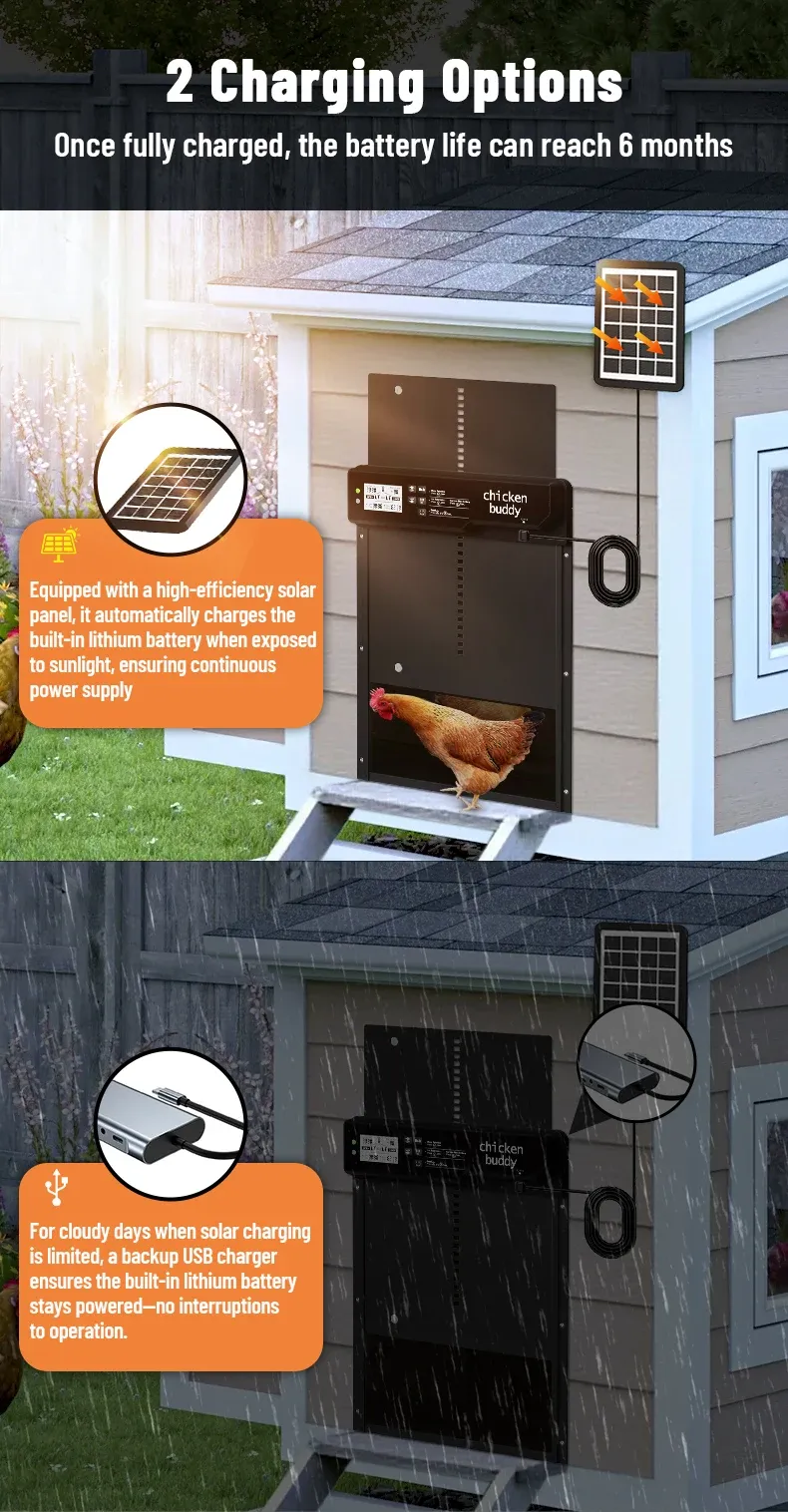 Porte de poulailler solaire intelligente anti-pincement avec minuterie