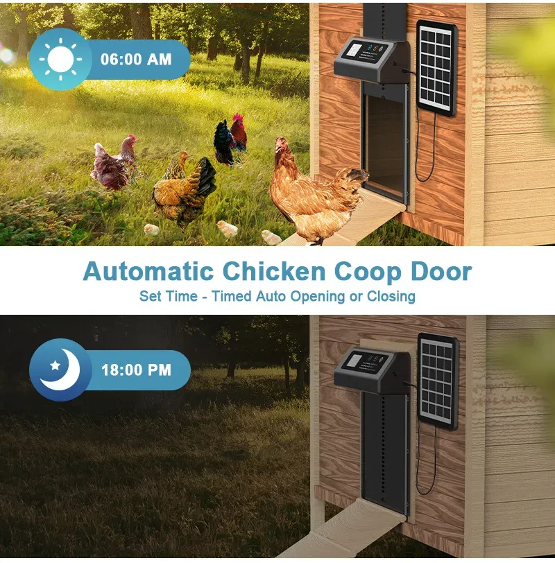 Porte de poulailler solaire intelligente en acier inoxydable programmée