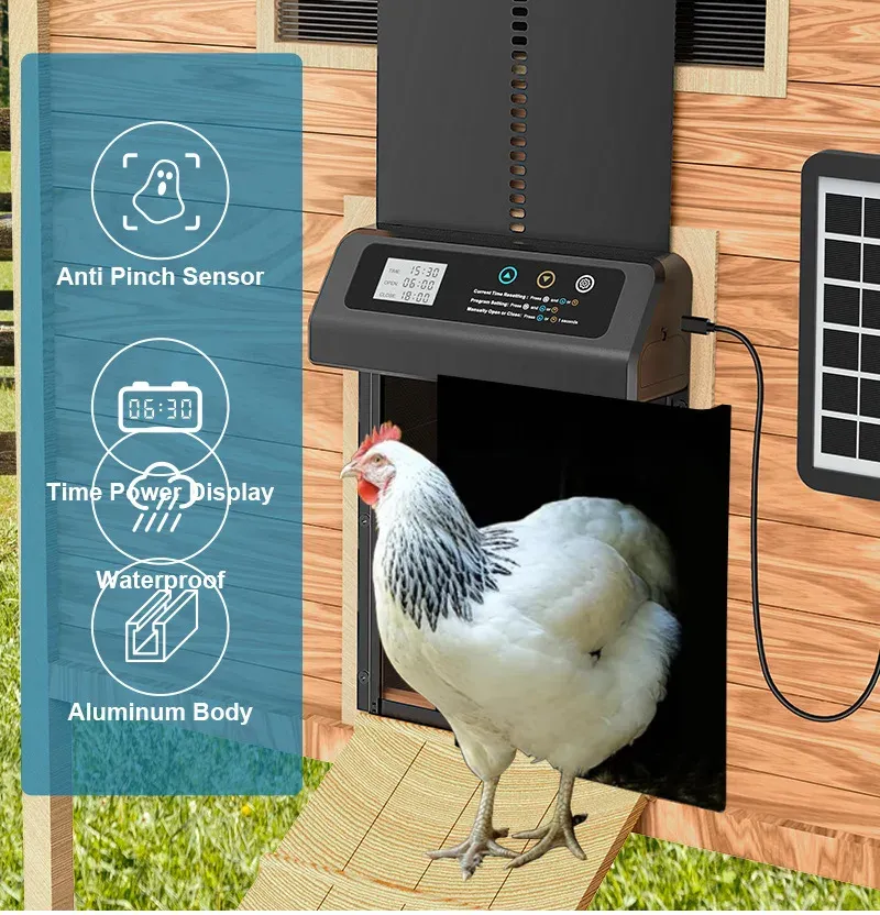 Porte de poulailler solaire intelligente en acier inoxydable programmée