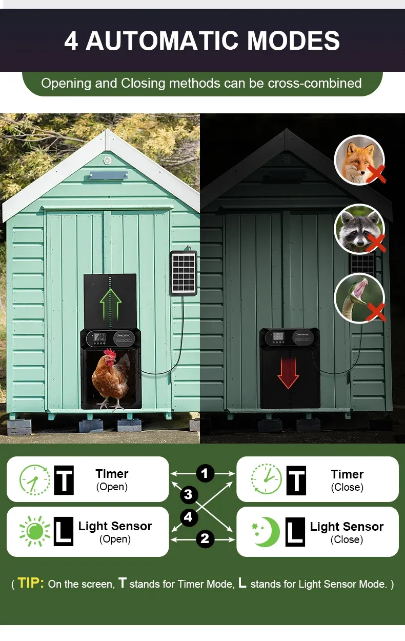 Porte de poulailler solaire XL avec écran LCD, minuterie et télécommande