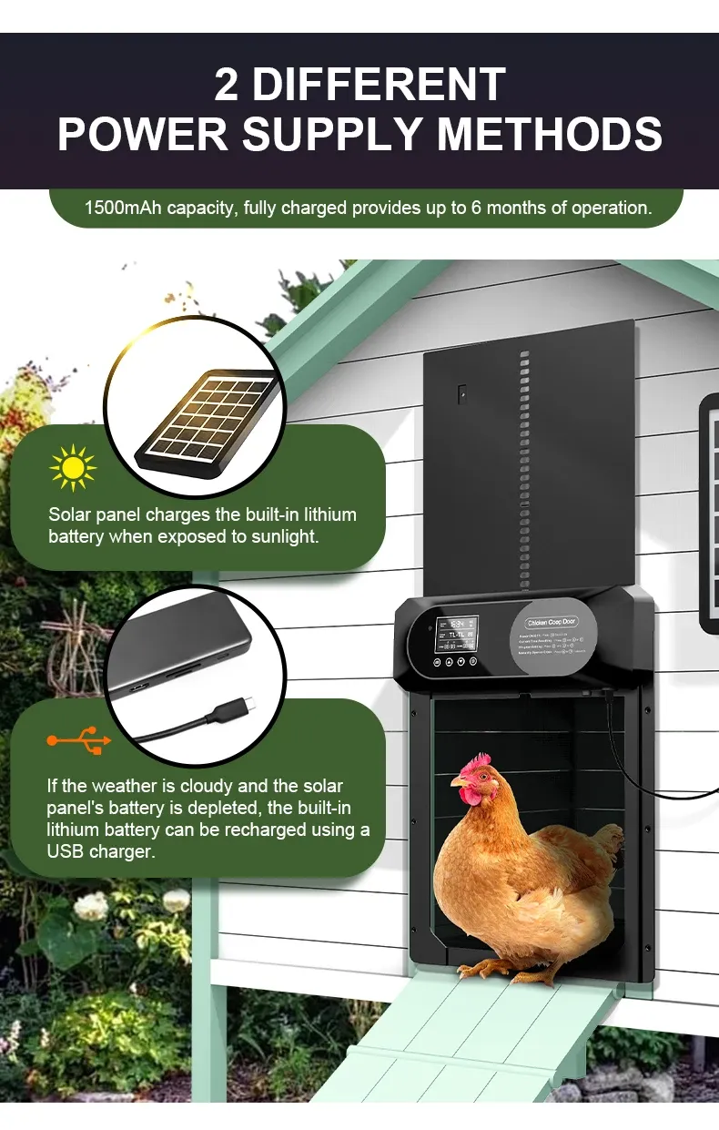 Porte de poulailler solaire XL avec écran LCD, minuterie et télécommande