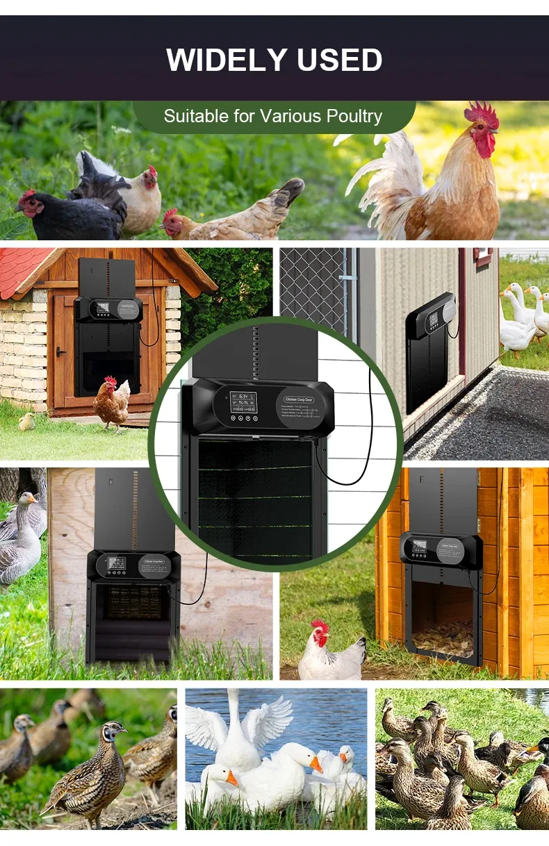 Porte de poulailler solaire XL avec écran LCD, minuterie et télécommande