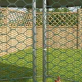 Poulailler acier 400x346 cm pour 10 à 15 poules – 8