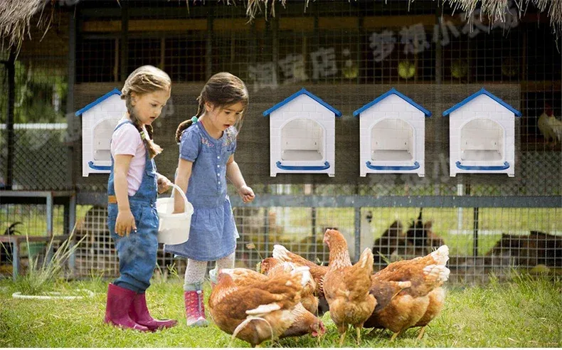 Poulailler plastique résistant intempéries ventilé toutes saisons