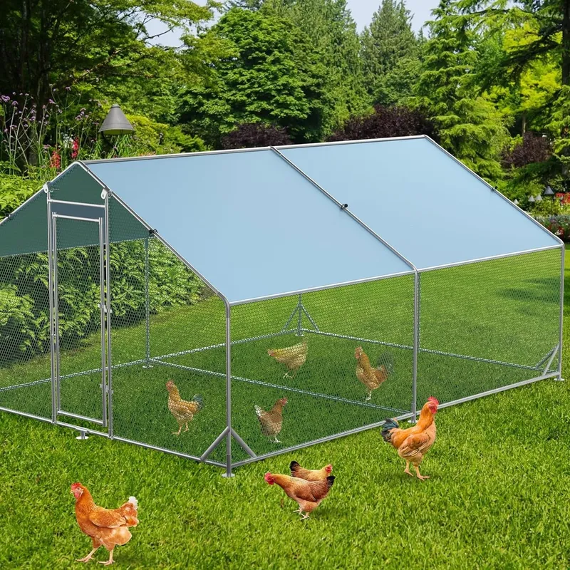 Poulailler XXL acier galvanisé avec couverture
