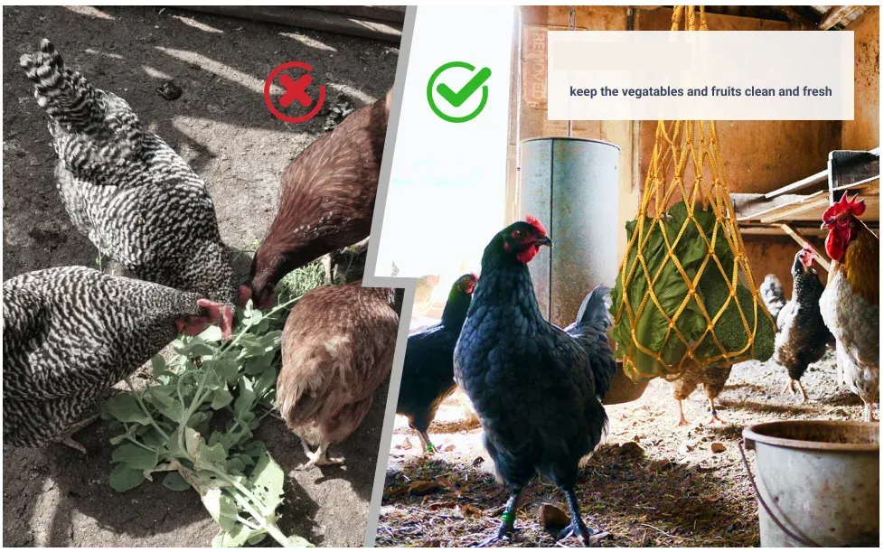 Sac filet pour fruits et légumes pour poulets et volailles