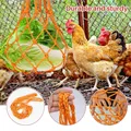 Seau alimentaire et abreuvoir pour volailles et cailles – 3