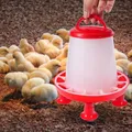 Seau d'alimentation pour volailles 1,5 kg automatique – 3