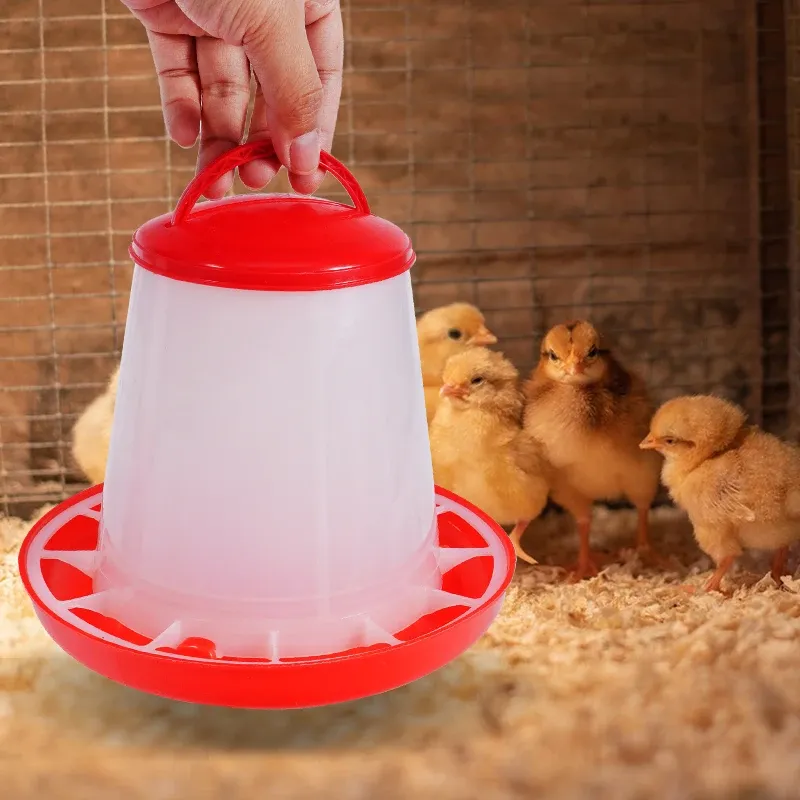 Seau d'alimentation pour volailles 1,5 kg automatique
