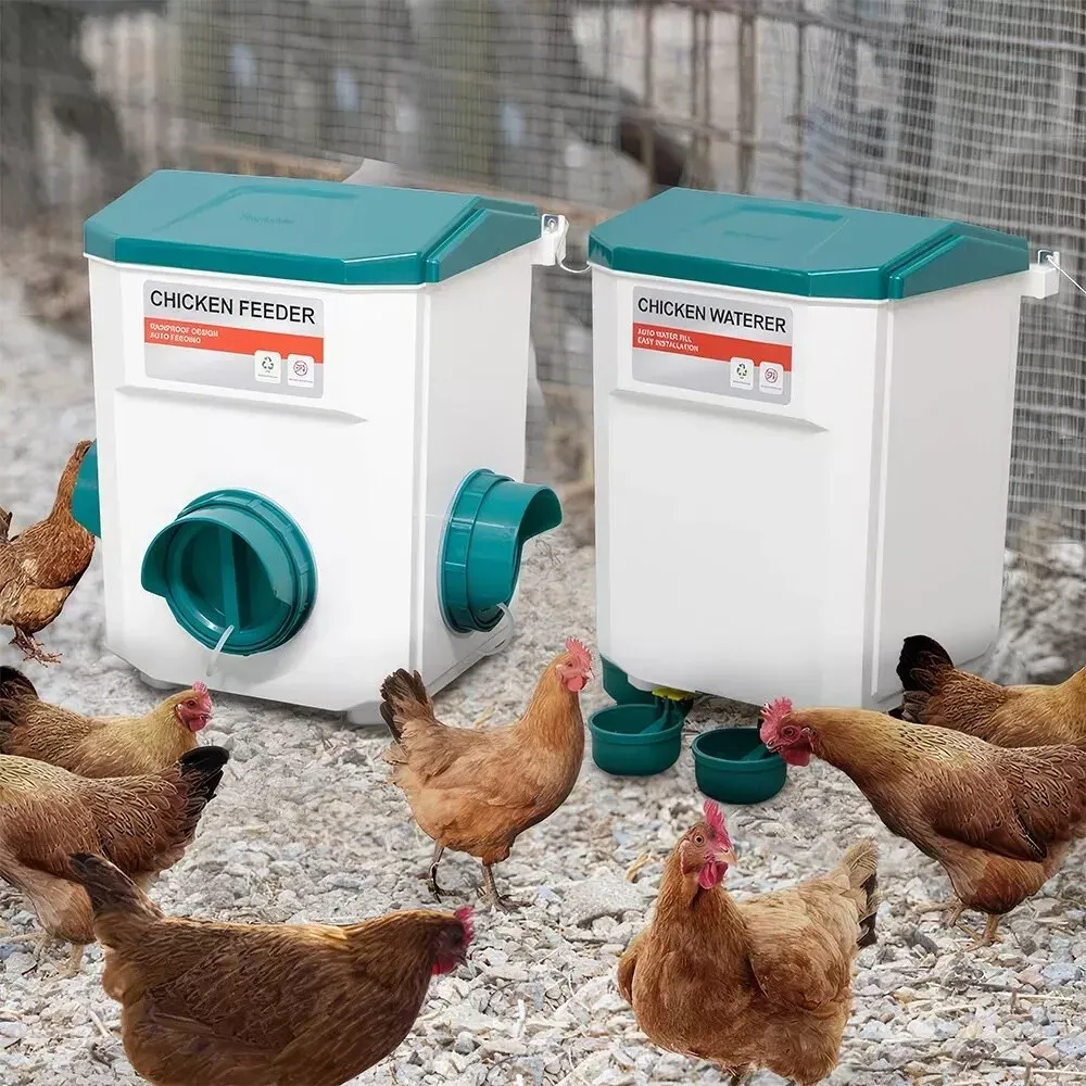 Système automatique alimentation et abreuvoir surélevé