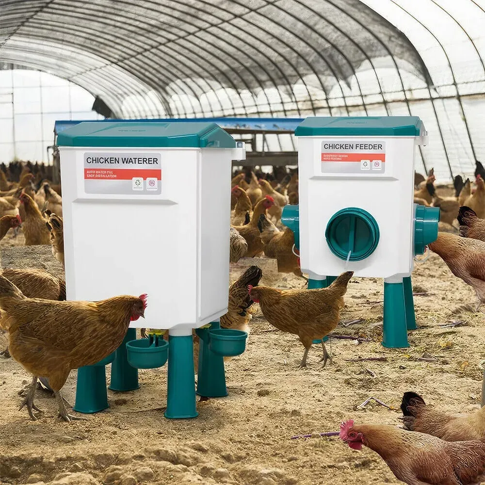 Système automatique alimentation et abreuvoir surélevé