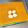 Tapis de couchage poules plastique lavables et découpables – 6