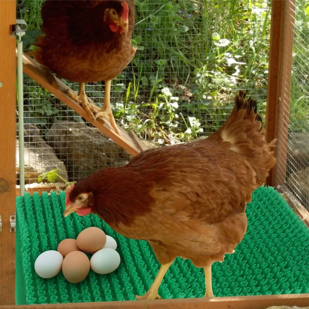 Tapis de couchage poules plastique lavables et découpables