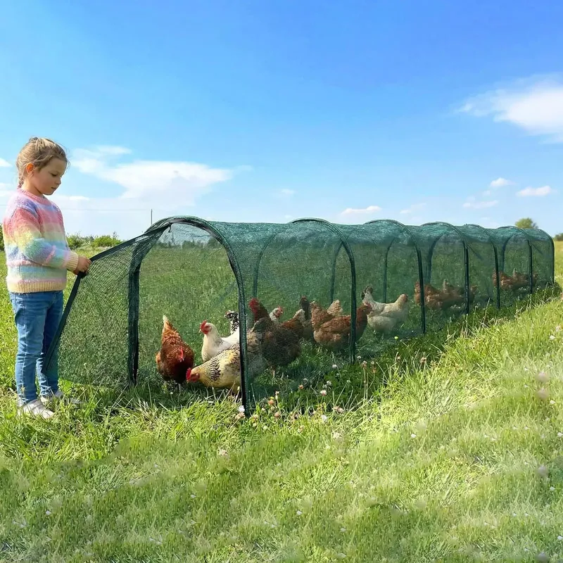 Tunnel poulailler portable pliable pour jardin